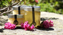 Load image into Gallery viewer, Italian Rhododendron Honey