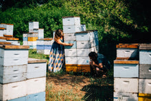 Load image into Gallery viewer, Bird and the Bees Black Sage Honey