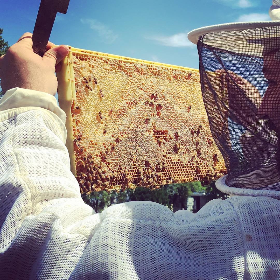 Astor Apiaries - Urban Beekeeping & Honey in NYC