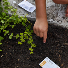 Load image into Gallery viewer, Curious Critters Activity Kit