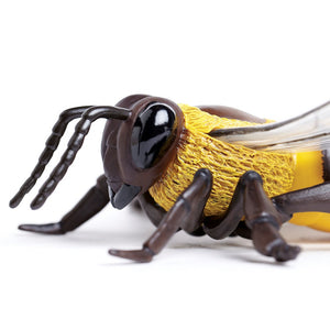 Honey Bee Model