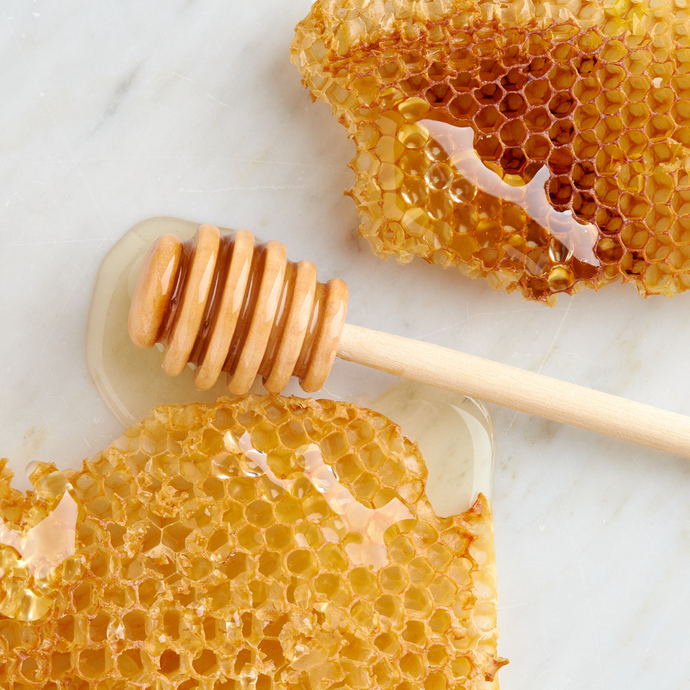 A Brief History of Honey: From Ancient Times to Today