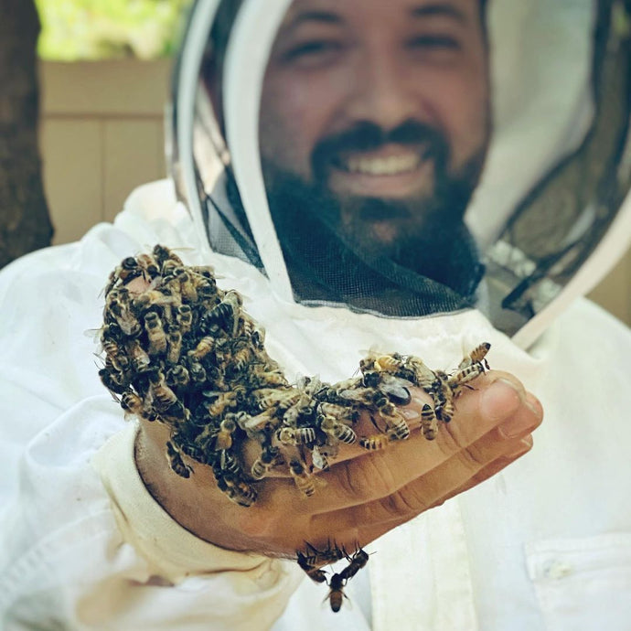 Astor Apiaries' Lead Beekeeper Joins The Bee Conservancy