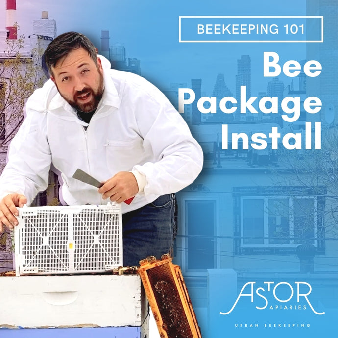 How To Install A Honey Bee Package