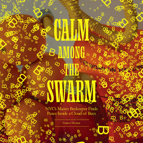 Calm Among The Swarm - Creatures of New York