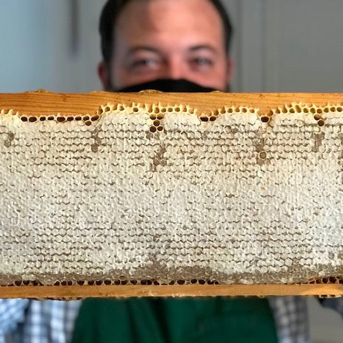 From Bee To Jar: How We Produce & Harvest Our NYC Raw Honey