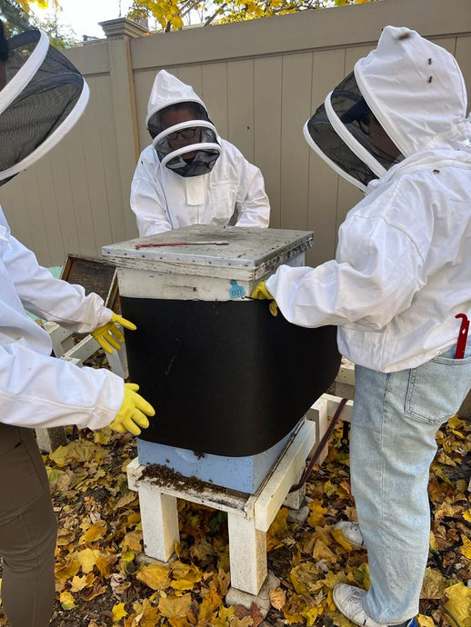 How To Winterize Your Hive