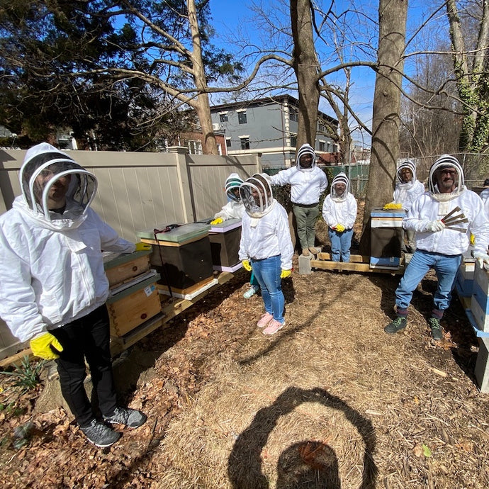 Springing into Action: A Behind-the-Scenes Look at Preparing Astor Apiaries for Bee Season