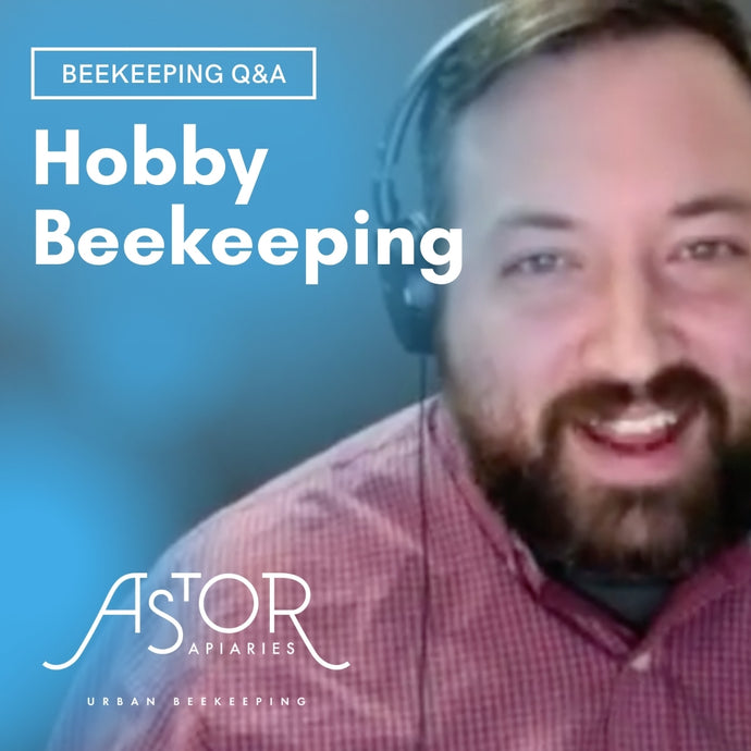 Beekeeping Q&A: Hobby Beekeeping