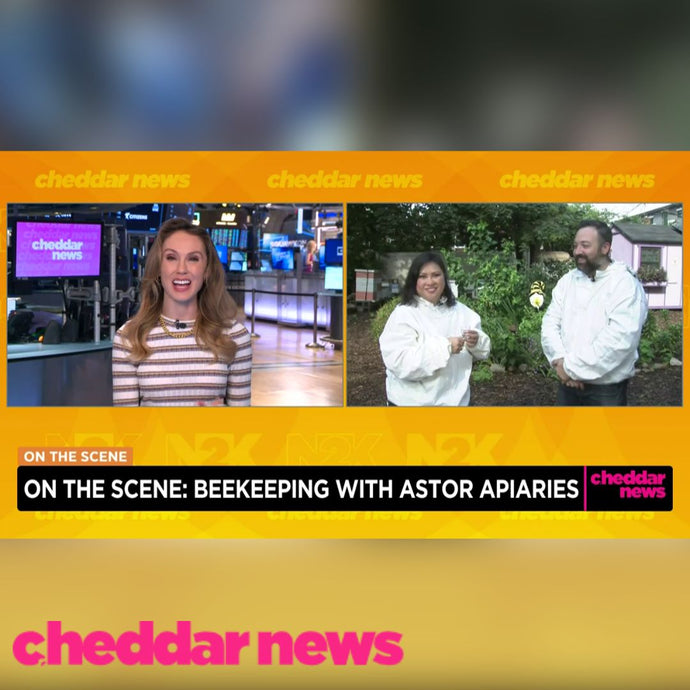 Cheddar News - On The Scene: Beekeeping With Astor Apiaries