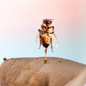 How to Treat and Prevent Bee and Wasp Stings