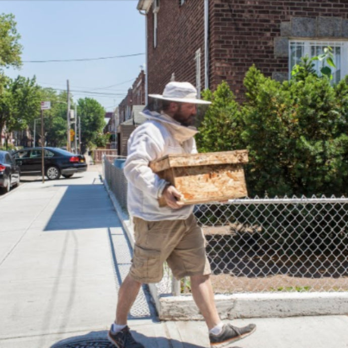Edible Queens - Meet the Urban Beekeepers Behind Astor Apiaries