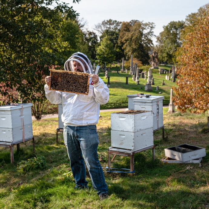 New York Times - How an Urban Beekeeper Spends His Sundays