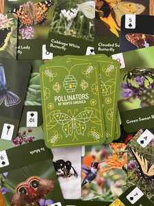 Pollinators of North America - Deck: 52 Playing Cards