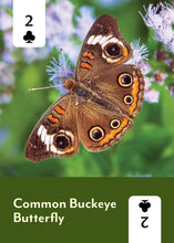 Load image into Gallery viewer, Pollinators of North America - Deck: 52 Playing Cards