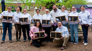 Urban Beekeeping Apprenticeship