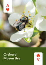 Load image into Gallery viewer, Pollinators of North America - Deck: 52 Playing Cards