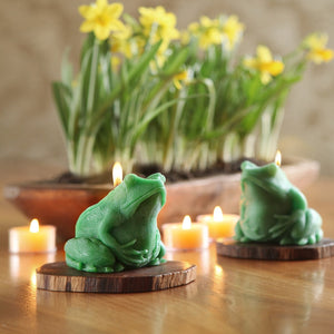 Beeswax Frog Candle