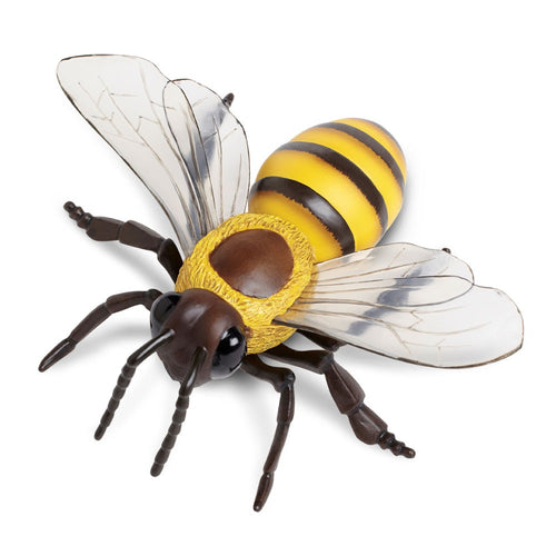 Honey Bee Model