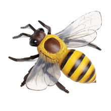 Load image into Gallery viewer, Honey Bee Model