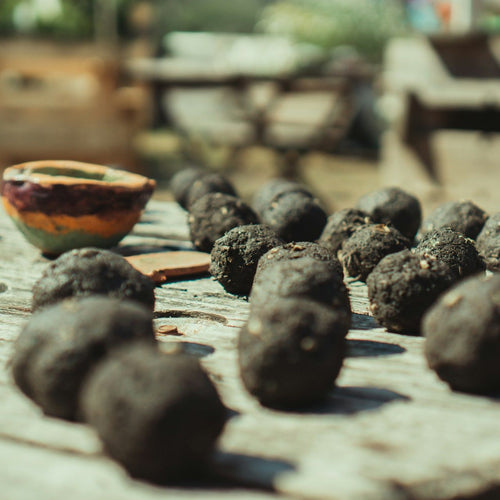 Kids' Crafts - Seed Ball Making