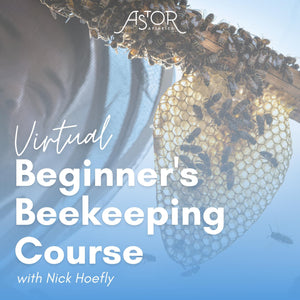 Beginner's Beekeeping Course