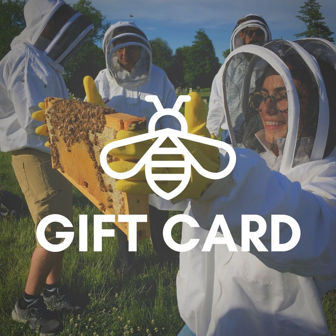 Meet the Bees Hive Tour Gift Card