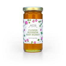 Load image into Gallery viewer, Astor Apiaries Clover Blossom Raw Honey 12oz Jar