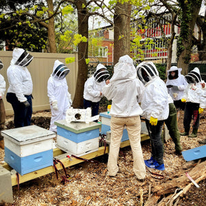 Meet the Bees Hive Tour at the Compost Collective