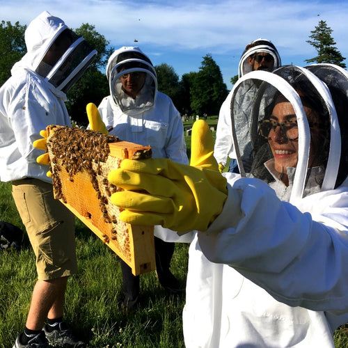 Meet the Bees Hive Tour at Green-Wood Cemetery