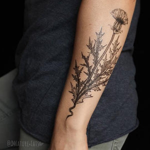 Purple Thistle Flower Temporary Tattoo - Astor Apiaries